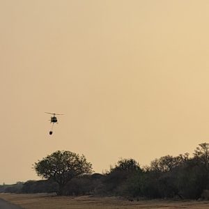MNR, Working on Fire - Chopper (1)